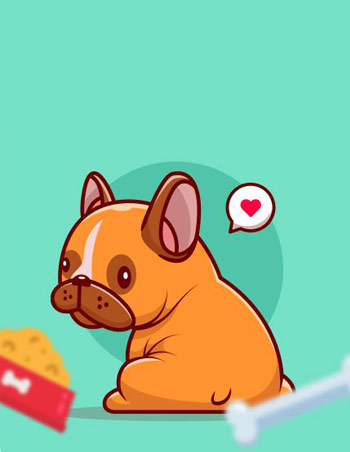 Hund