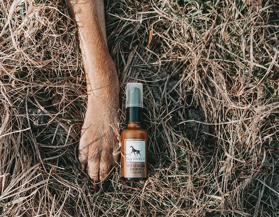 First Aid Balsam