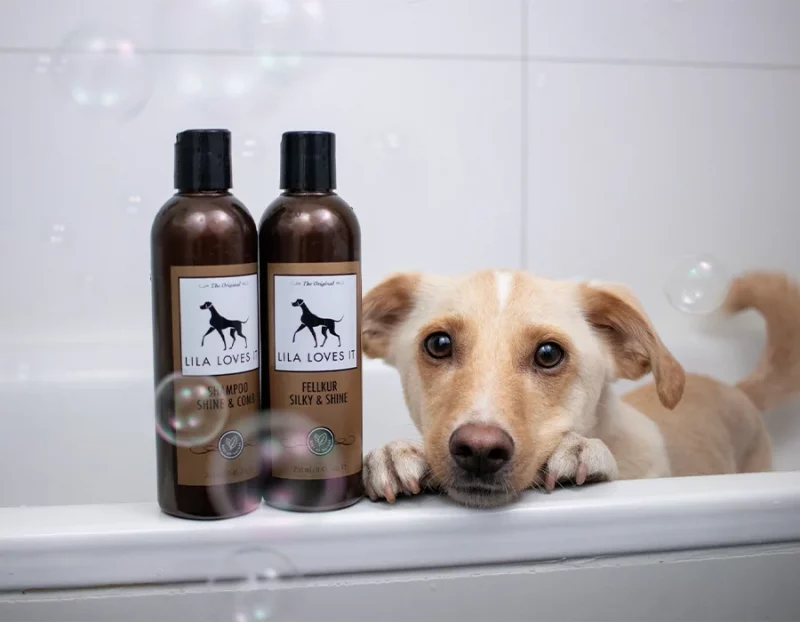 Shampoo Shine & Comb